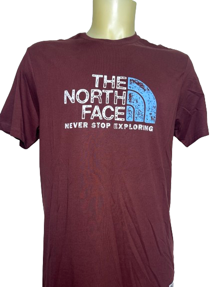 THE NORTH FACE T-SHIRT