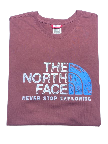 THE NORTH FACE T-SHIRT